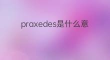 praxedes是什么意思 praxedes的中文翻译、读音、例句