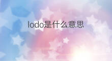 lodo是什么意思 lodo的翻译、读音、例句、中文解释