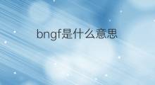 bngf是什么意思 bngf的中文翻译、读音、例句