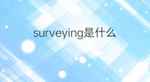 surveying是什么意思 surveying的中文翻译、读音、例句