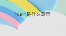 huso是什么意思 huso的中文翻译、读音、例句