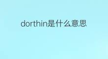 dorthin是什么意思 dorthin的中文翻译、读音、例句