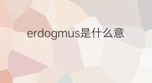 erdogmus是什么意思 erdogmus的中文翻译、读音、例句