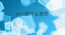 kga是什么意思 kga的翻译、读音、例句、中文解释