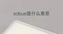 sobue是什么意思 sobue的翻译、读音、例句、中文解释