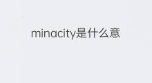 minacity是什么意思 minacity的翻译、读音、例句、中文解释