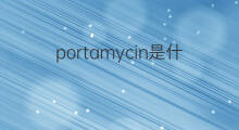 portamycin是什么意思 portamycin的翻译、读音、例句、中文解释