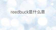reedbuck是什么意思 reedbuck的翻译、读音、例句、中文解释