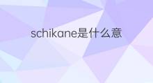 schikane是什么意思 schikane的翻译、读音、例句、中文解释