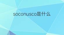 soconusco是什么意思 soconusco的翻译、读音、例句、中文解释