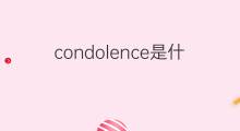 condolence是什么意思 condolence的翻译、读音、例句、中文解释