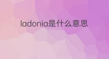 ladonia是什么意思 ladonia的翻译、读音、例句、中文解释