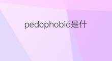 pedophobia是什么意思 pedophobia的翻译、读音、例句、中文解释