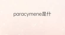 paracymene是什么意思 paracymene的翻译、读音、例句、中文解释