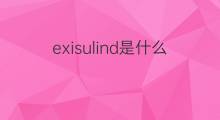 exisulind是什么意思 exisulind的翻译、读音、例句、中文解释