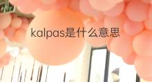 kalpas是什么意思 kalpas的翻译、读音、例句、中文解释