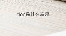 cioe是什么意思 cioe的中文翻译、读音、例句