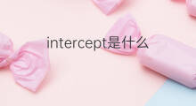 intercept是什么意思 intercept的中文翻译、读音、例句