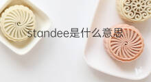standee是什么意思 standee的中文翻译、读音、例句