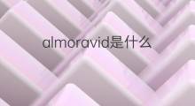 almoravid是什么意思 almoravid的中文翻译、读音、例句