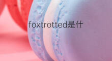 foxtrotted是什么意思 foxtrotted的中文翻译、读音、例句