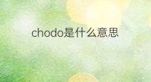 chodo是什么意思 chodo的中文翻译、读音、例句