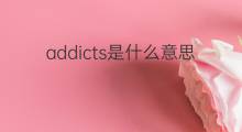 addicts是什么意思 addicts的中文翻译、读音、例句