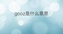 gooz是什么意思 gooz的中文翻译、读音、例句