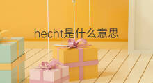 hecht是什么意思 hecht的中文翻译、读音、例句