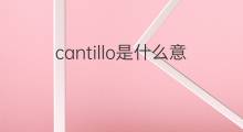 cantillo是什么意思 cantillo的中文翻译、读音、例句