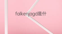 falkenjagd是什么意思 falkenjagd的中文翻译、读音、例句
