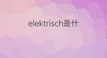 elektrisch是什么意思 elektrisch的中文翻译、读音、例句
