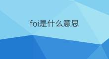 foi是什么意思 foi的中文翻译、读音、例句