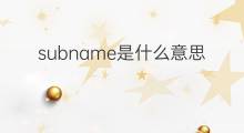 subname是什么意思 subname的中文翻译、读音、例句