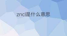zncl是什么意思 zncl的中文翻译、读音、例句