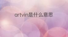 artvin是什么意思 artvin的中文翻译、读音、例句