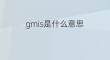 gmis是什么意思 gmis的中文翻译、读音、例句