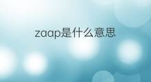 zaap是什么意思 zaap的中文翻译、读音、例句