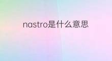 nastro是什么意思 nastro的中文翻译、读音、例句