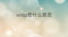 wiep是什么意思 wiep的中文翻译、读音、例句