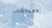 cyto是什么意思 cyto的中文翻译、读音、例句