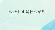 padshah是什么意思 padshah的中文翻译、读音、例句