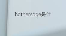 hathersage是什么意思 hathersage的中文翻译、读音、例句