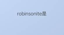 robinsonite是什么意思 robinsonite的中文翻译、读音、例句