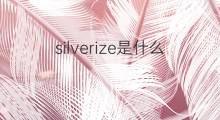 silverize是什么意思 silverize的中文翻译、读音、例句
