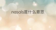 nasals是什么意思 nasals的中文翻译、读音、例句