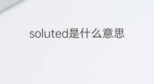 soluted是什么意思 soluted的中文翻译、读音、例句
