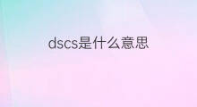 dscs是什么意思 dscs的中文翻译、读音、例句