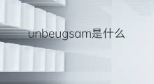 unbeugsam是什么意思 unbeugsam的中文翻译、读音、例句