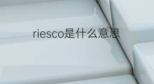 riesco是什么意思 riesco的中文翻译、读音、例句